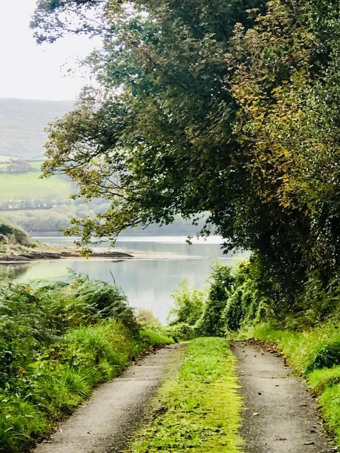 Niblick Bed & Breakfast Bantry Luaran gambar